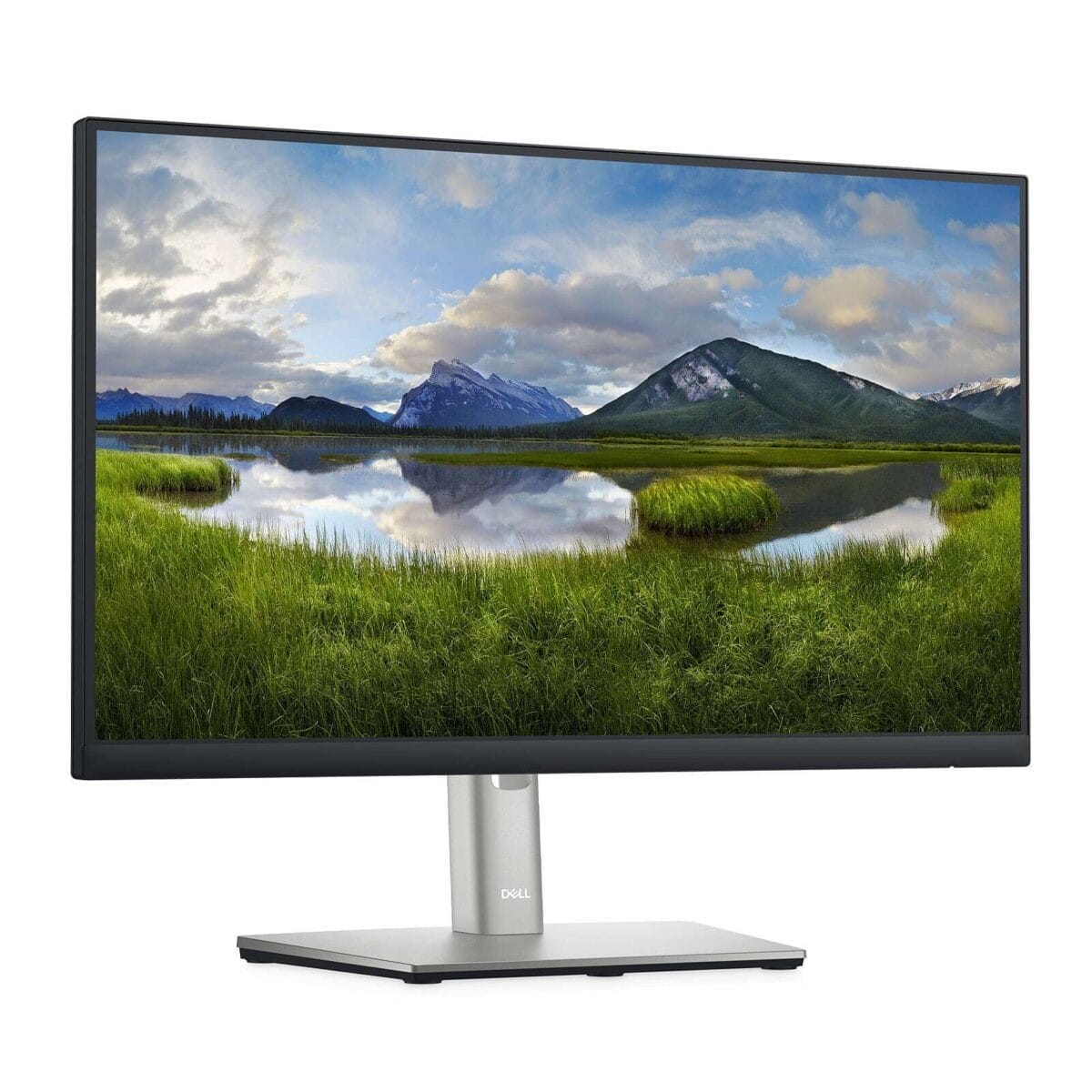 Dell P2222H-3Y Écran 21.5 pouces Full HD